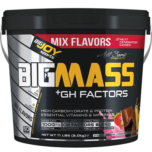 BİGJOY GH MASS 5 KG MİX