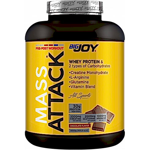 Bigjoy Sports Mass Attack 3000gr